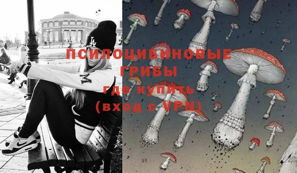 гашиш Гусев