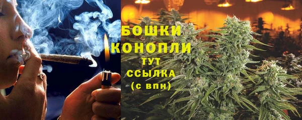 крисы Горнозаводск